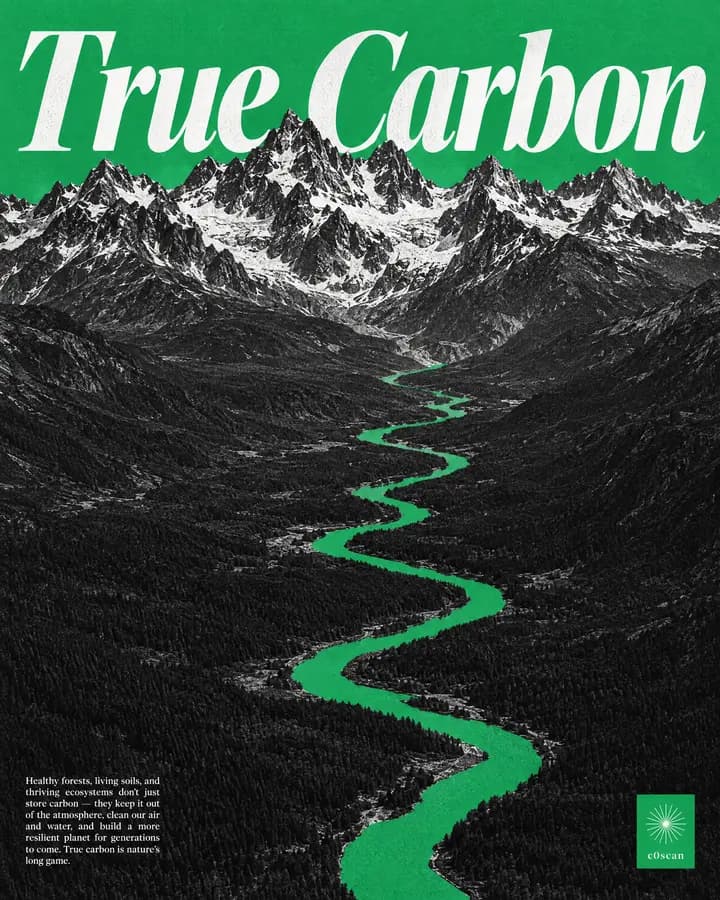True Carbon poster