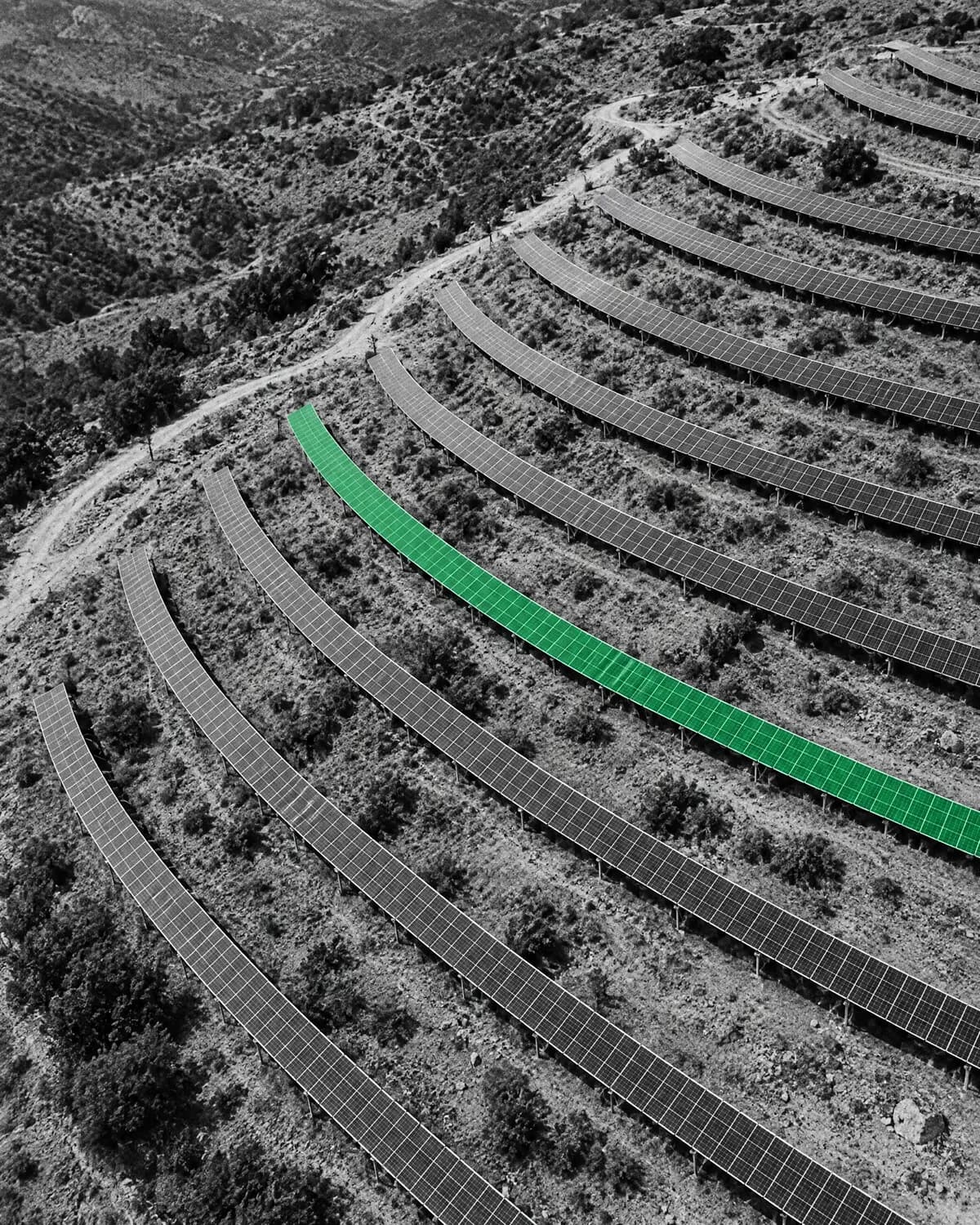 Rows of solar panels on a hillside, one row highlighted in green